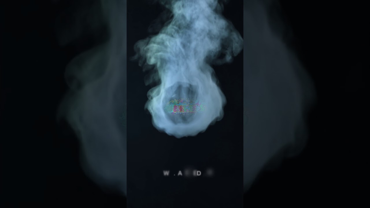 Pariseeds - Fleurs de CBD en Livraison Express sur Paris et dans toute l'Ile-de-France.