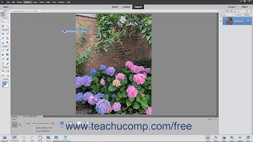 Photoshop Elements 2020 Tutorial Hue/Saturation Adobe Training