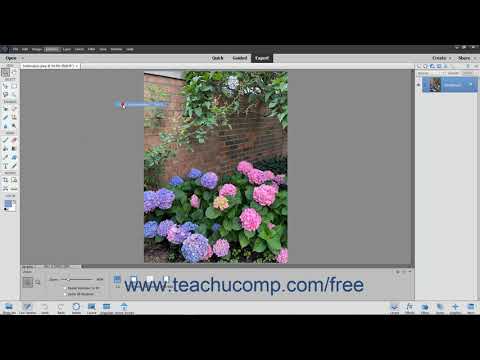 Photoshop Elements 2020 Tutorial Hue/Saturation Adobe Training