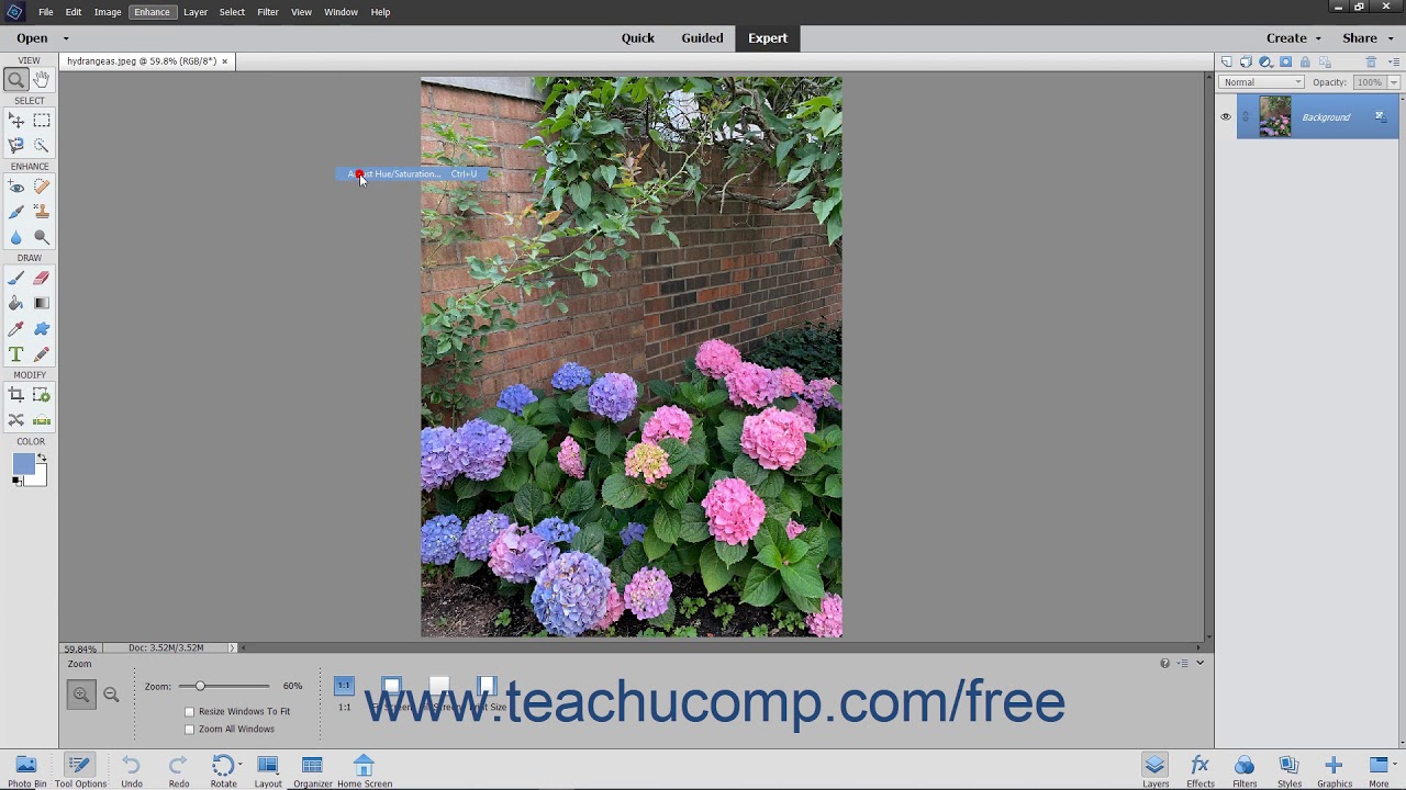 Photoshop Elements 2020 Tutorial Hue/Saturation Adobe Training - YouTube