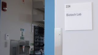 Biotech Lab Sbrega Building