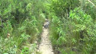 Imagen 297.avi