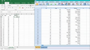 How to import excel data into SPSS