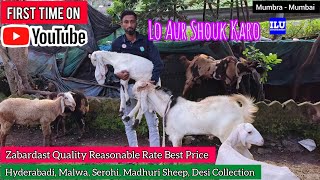 Zabardast Quality Reasonable Rate Best Price Loot Lo Aur Shouk Karo || Irshad Bhai Mumbra Mumbai ||