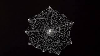 Free Full Hd Spider Web Green Screen & Black Screen