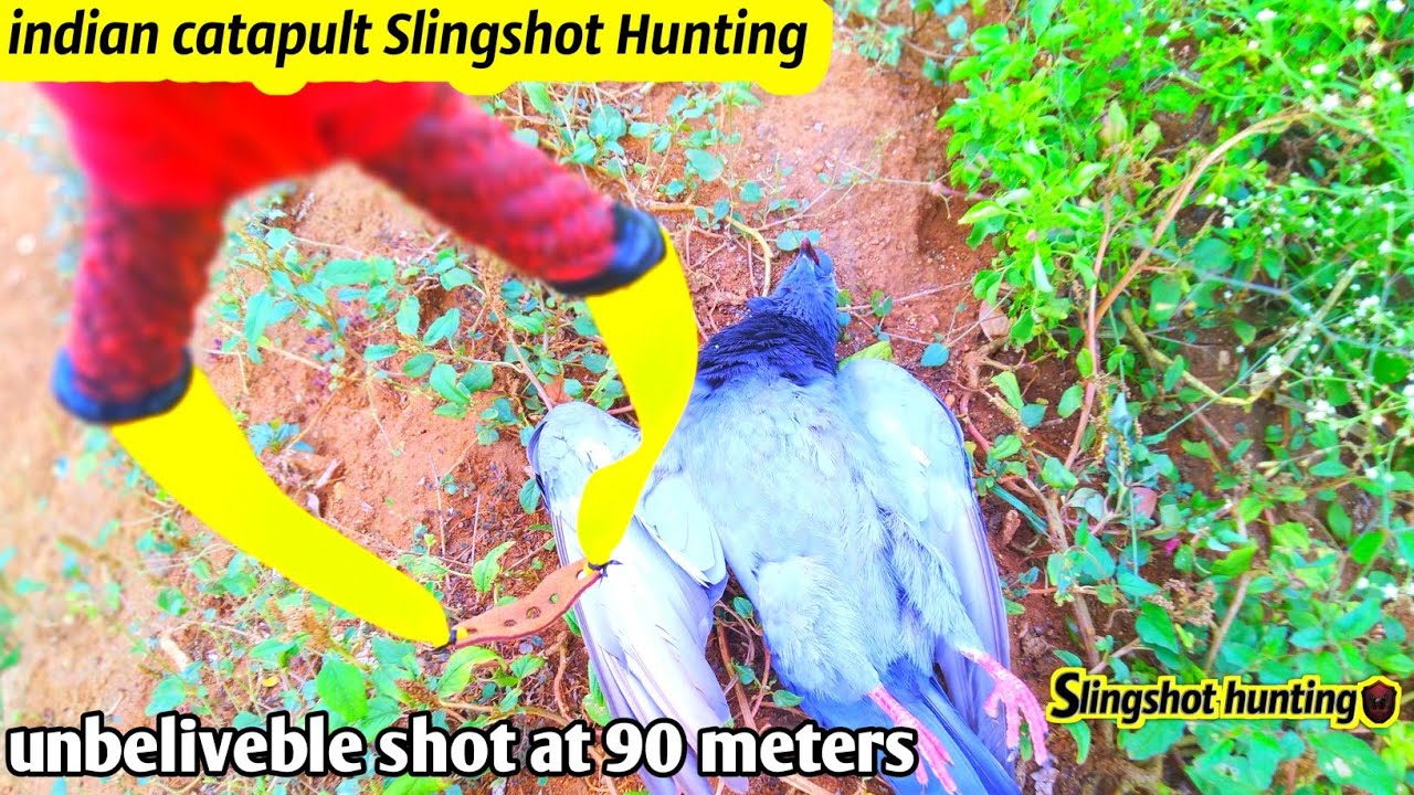 indian catapult Slingshot long range pigeon Hunting /Slingshot Hunting
