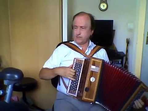 double jig irlandaise An-áthas ar mo shaol - The joy of my life (avec accordéon)