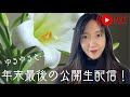 【初ライブ🎙️✨】テーマを設けず感じた事をお話ししながらの公開生配信です😊