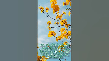 ما تيسر من سوره المطففين/ للقارئ أحمد خضر