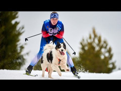 СКИДЖОРИНГ: ЧТО ЭТО ЗА СПОРТ?