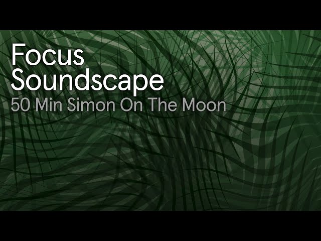 Focus: 50 Min of Gökotta by Simon On The Moon  | @EndelSound class=