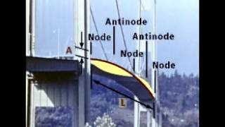 Standing wave Tacoma bridge (looped)