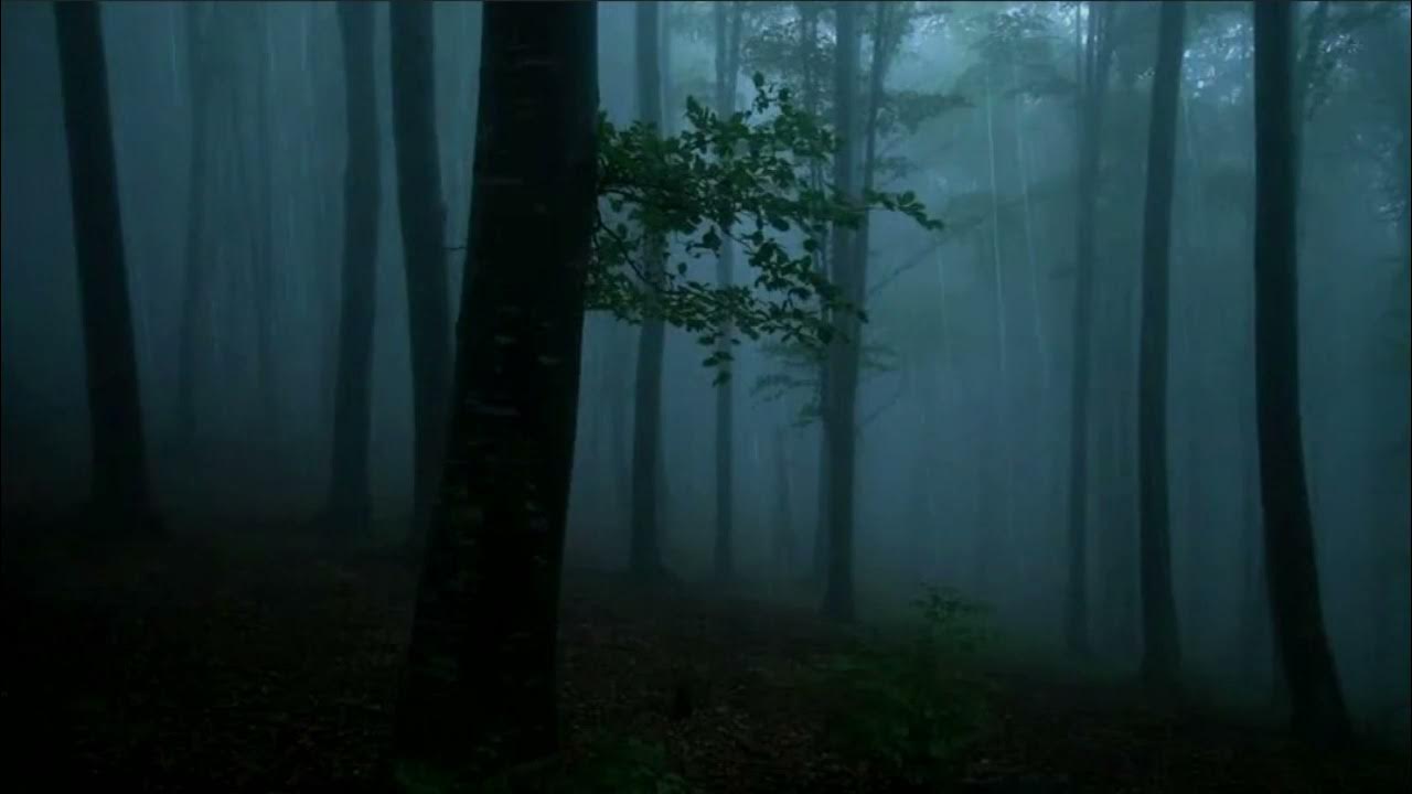 шум дождя для сна релаксация. дождь в лесу слушать для сна. шум дождя звук. дождь релакс. View on trees garden.