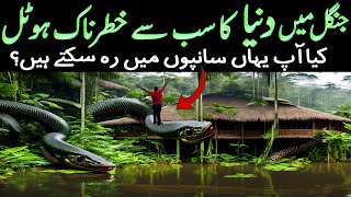 Amazon Jungle Mein Dunya Ka Sub Se Khatarnak Hotel Urdu Documentary