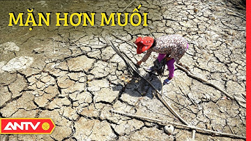 Hạn mặn khốc liệt: “Cơn khát” nước ngọt còn mặn mòi hơn muối Tập 1| An toàn sống 2020 | ANTV
