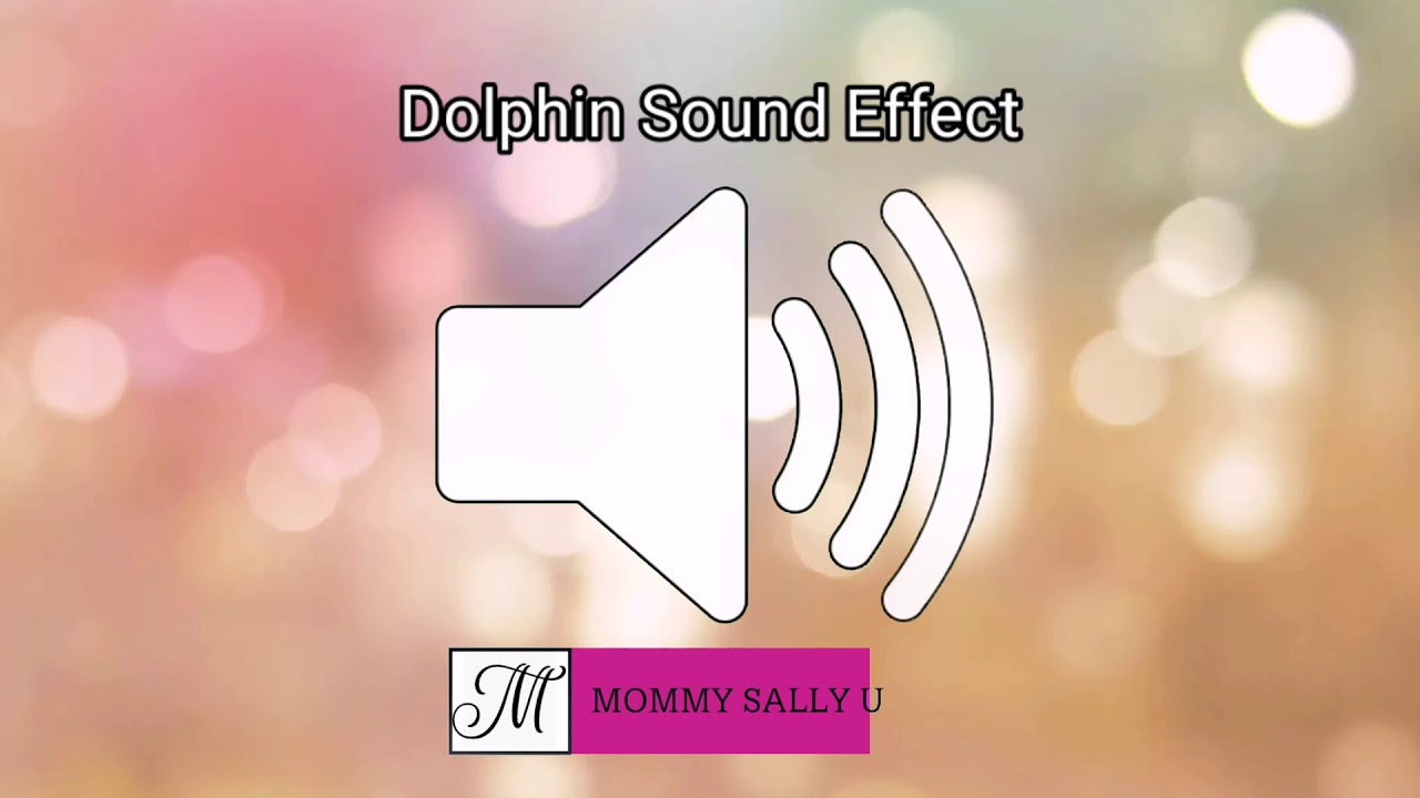 Dolphin Sound Effect YouTube