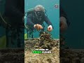 Cleaning Up the Ocean! 🤙 Removing Fishing Line from a dangerous Coral reef! #hawaii #oceancleanup