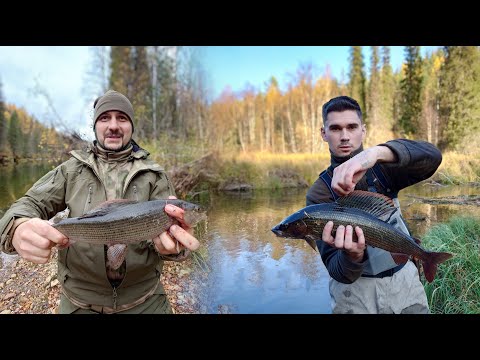 Fishing in Taiga for Big Grayling. Season 8. Good trips.