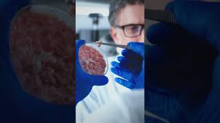 What Is Lab Grown Meat? Discover The Future Of Food