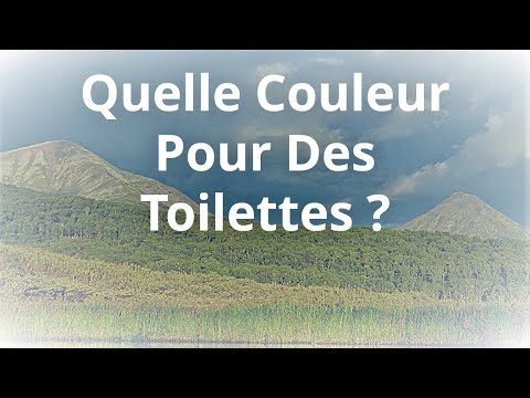 Comment ajouter une touche de style à vos toilettes avec la décoration appropriée ? | Maison 2023