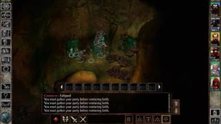 Icewind Dale EE Playthrough Part 67: Nym