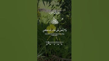 #سورة_الماعون #القرآن_الكريم #القران_الكريم #ماهر_المعيقلي #قران_كريم #دعاء #تلاوة_خاشعة #alquran
