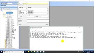 PDMS paragon | Create Detail text (Includes Copy, remame, edit existed Detail text)
