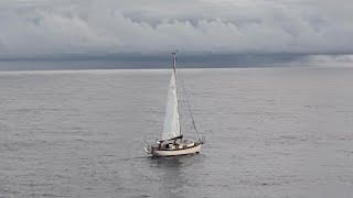 Diving with Snakes and Sailing to Tonga