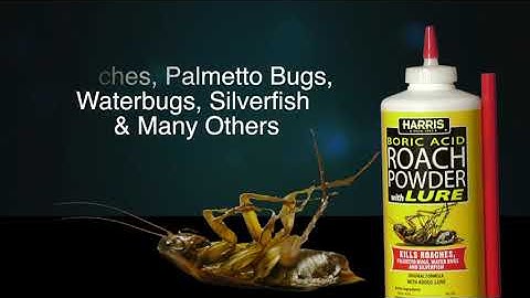 Harris Boric Acid Roach Killer Powder with Lure, 16oz