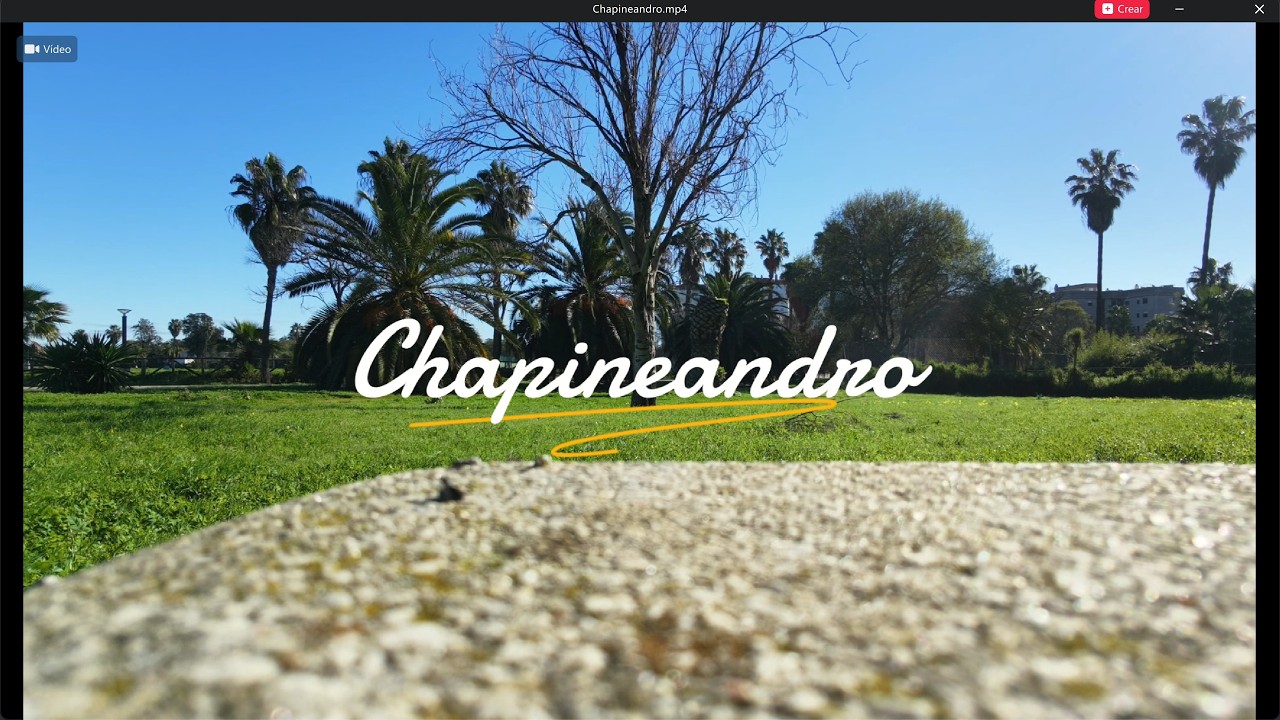 Chapineandro