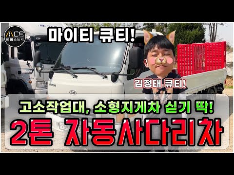 고소작업대와 지게차 싣기좋은 2톤자동사다리차 입고