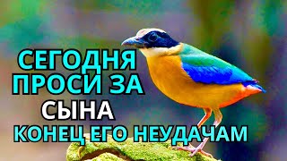 видео: ПРОПУСТИТЬ СЕГОДНЯ ЭТУ МОЛИТВУ НЕЛЬЗЯ! МОЛИТВА ЗА СЫНА И ЗАЩИТА НАД НИМ. Она будет молитвенным щитом картинка: ПРОПУСТИТЬ СЕГОДНЯ ЭТУ МОЛИТВУ НЕЛЬЗЯ! МОЛИТВА ЗА СЫНА И ЗАЩИТА НАД НИМ. Она будет молитвенным щитом