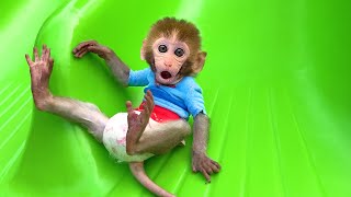 Monkey Baby Bon Bon Eat Egg And Play On Playground In The Park!