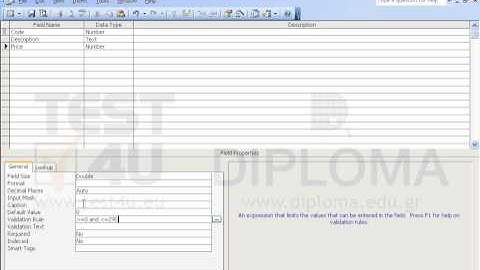 Set the appropriate validation rule in the Price field of the Products table to allow the input...
