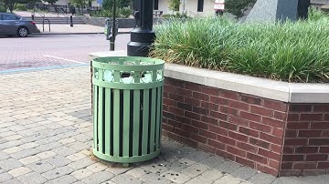 Squirrel eating out of trash can