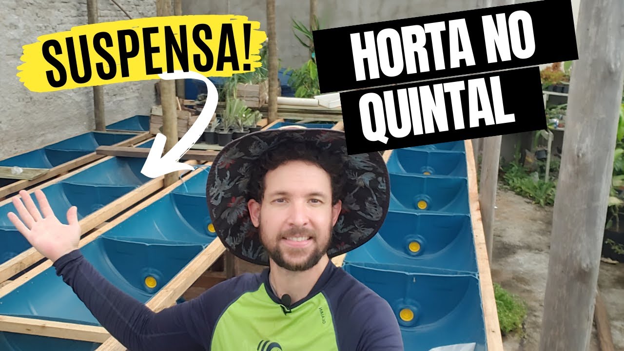 Como está ficando a horta no quintal de casa ? Atualizações e dicas importantes