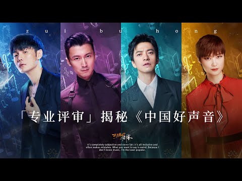 有内幕？有车祸？专业评审为你揭秘《中国好声音》！