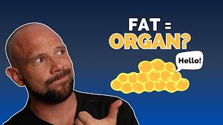 Your Fat Is NOT Storage — It's an Organ Talking to Your Brain