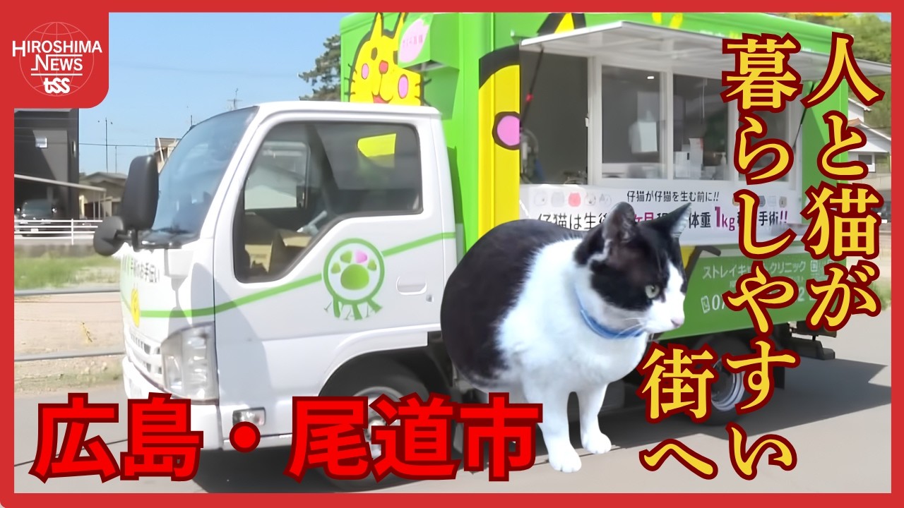 人と猫が暮らしやすい街を目指す！特別な車両を使ったネコの不妊・去勢