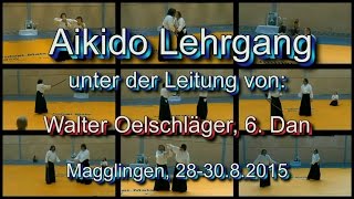 Aikido Stage UAS Magglingen 2015 Walter Oelschläger