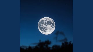 Gone Before the Moon