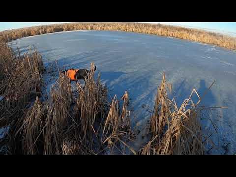 Building the duck barge - Raffia grass for the blind 28 