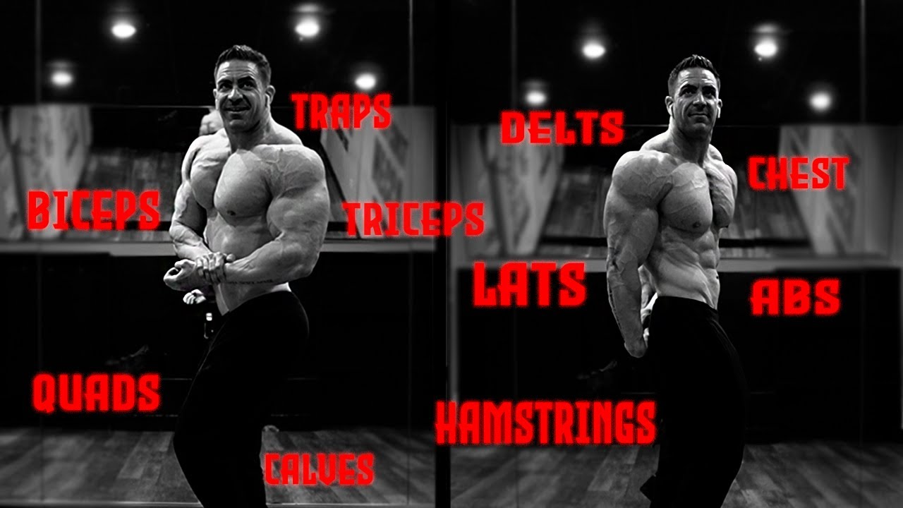 Это лучший способ провести тренировочный сплит для увеличения мышечной массы!