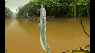Fishing Clash 3D Sport Game @ EPIC Challenge Amazon River | Oscar | Stingray | Silver | Gar screenshot 2