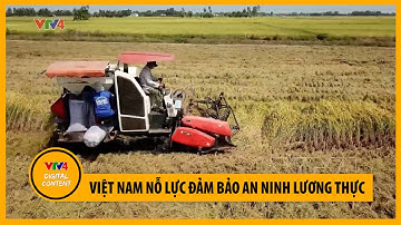 Việt Nam nỗ lực đảm bảo an ninh lương thực | VTV4