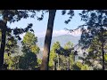 Kausani Tea Garden #kasuani #uttrakhand