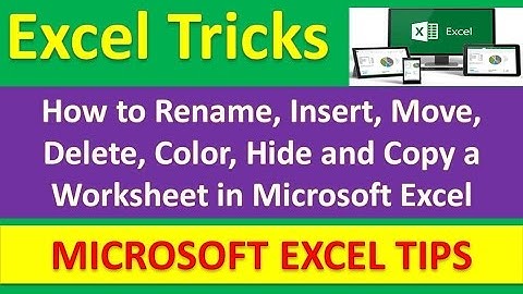 How to Rename, Insert, Move, Delete, Color, Hide and Copy a Worksheet in Excel [Urdu/Hindi]