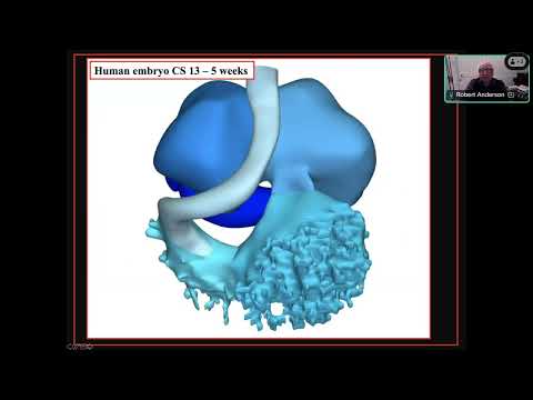 Anatomy Session #2 – Communications