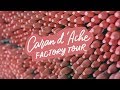 Visiting the Caran d'Ache Factory 🇨🇭| Abbey Sy