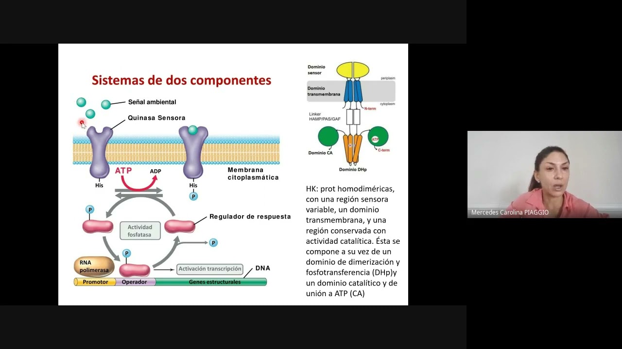 Clase 9 sensado 2021 10 19 at 05 47 GMT 7